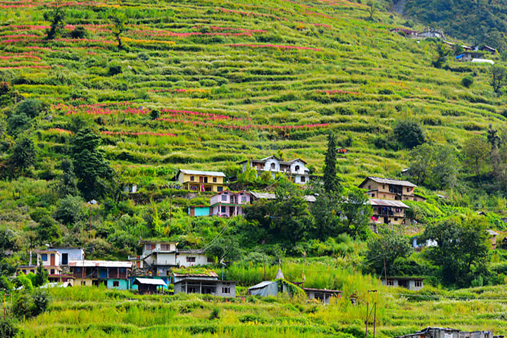 Sangam Chatti