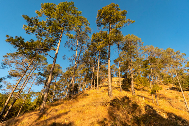 Thana Danda Peak